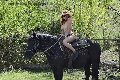 Foto Annuncio Escort Chiavari Karyna - 29